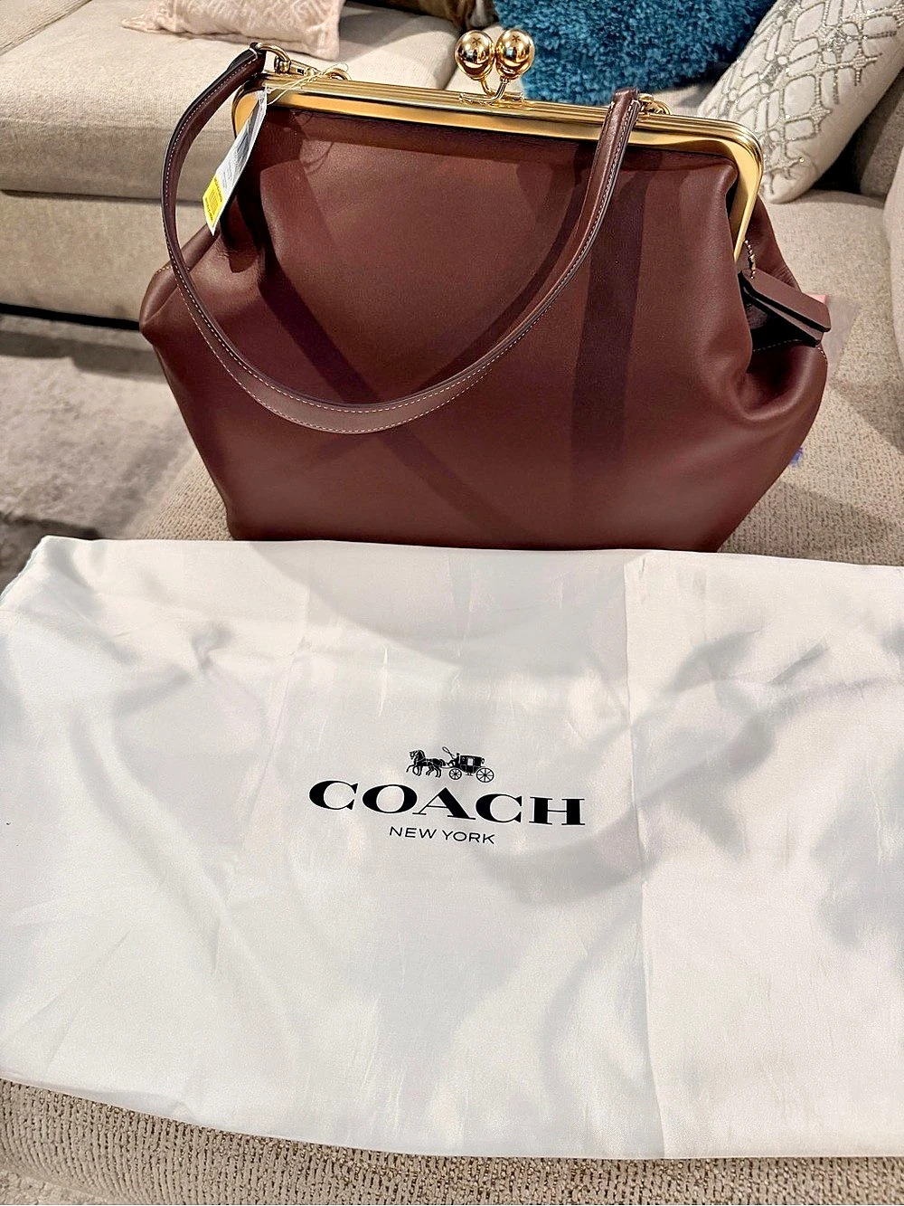 Coach Large Kisslock Frame Bag Shoulder Bag in Brown